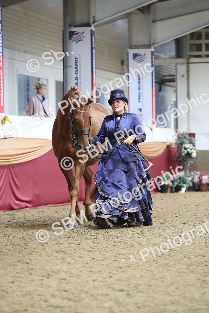 SBM_10758 - Class 103 IH Costume