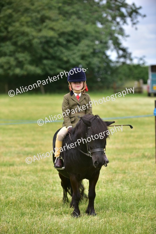 20260614-3693 - Class 15 - Prettiest Mare