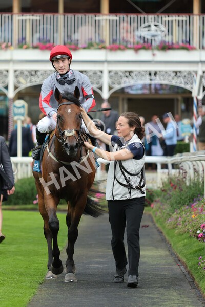 yr04092022r1-42 - Race 1 1.45pm IRE Incentive, It Pays To Buy Irish EBF Novice Stakes