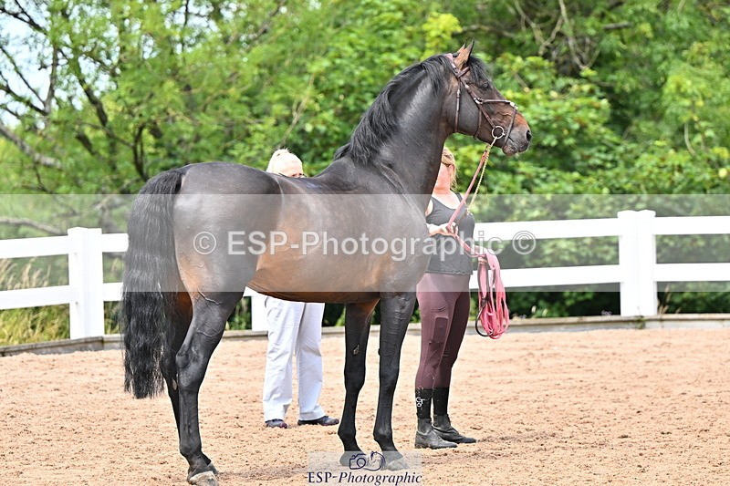 240718A-105321-01896 - Trot Up 1pm to 2pm