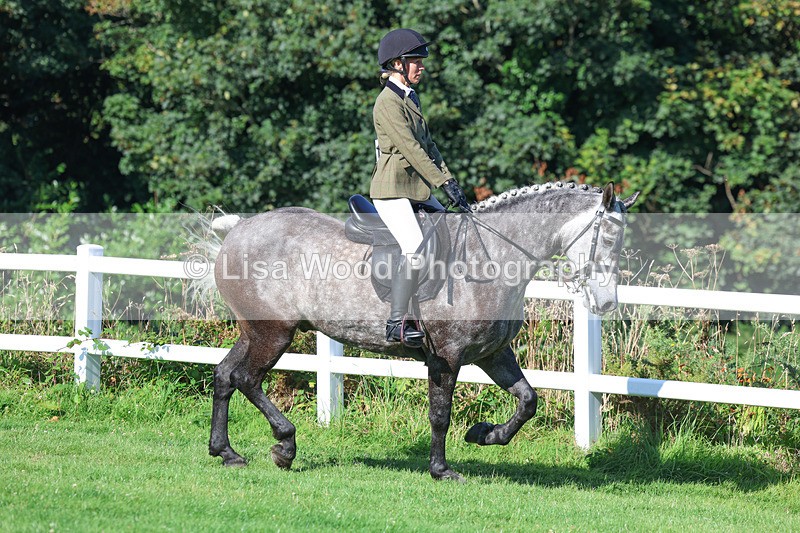 3E7A7820 - Class 2: Open Working Hunter pony
