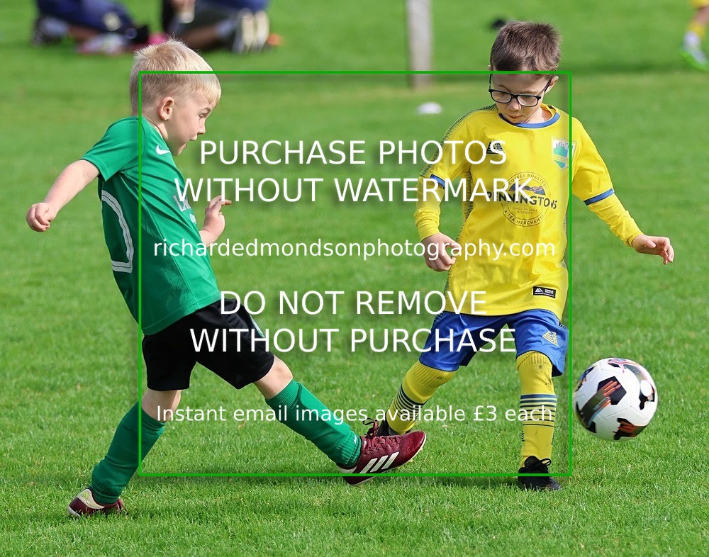 533A6973 - Kendal United U7 vs Milnthorpe U7 (6/9/25)