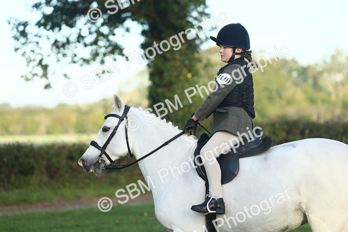 SBM_31704 - S28 - Nursery Stakes Working Hunter Pony