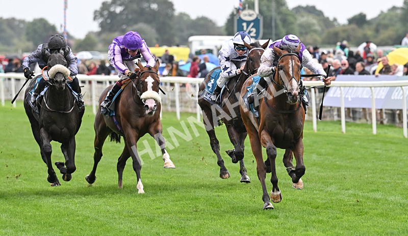 200826-156 Mia Fantasia - Race 6 16.45pm Mews Hotel Ossett EBF Stallions Nursery Handicap
