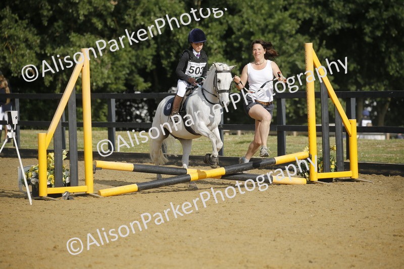 20250622-1168 - 40cm