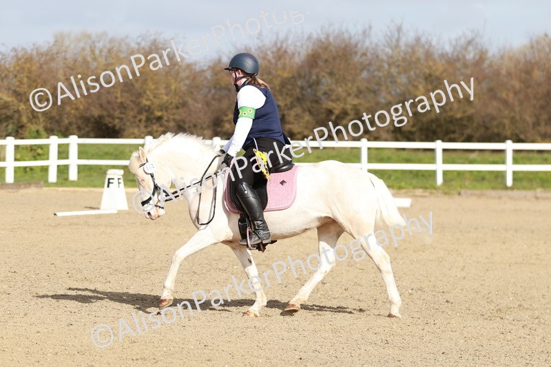 20260314-1094 - DR2 - Intro 3