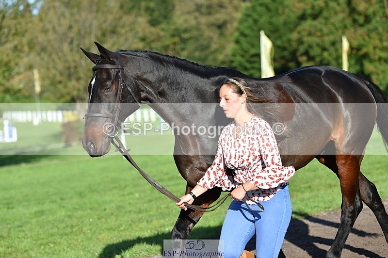 231022-101848-22403 - 430-HUNTSMAN.COM-Rachael.Watson-TrotUp+SJ