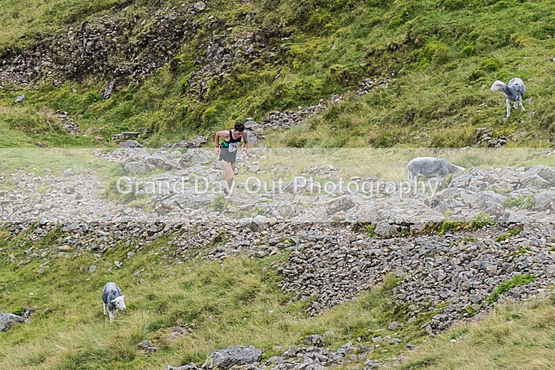 Borrowdale-8 - Borrowdale Fell Race Saturday 3rd August 2024