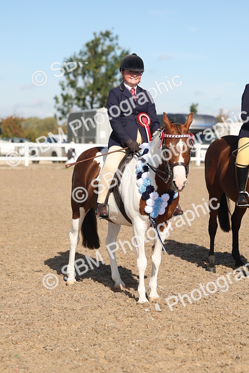 SBM_12405 - Class 304 - Ridden part Bred Horse Pony