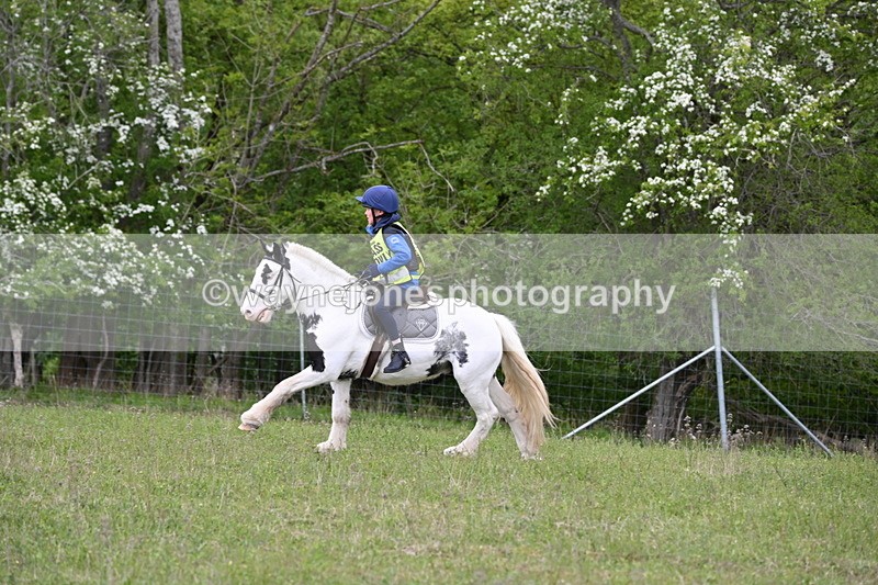 WJ6_1948 - Group 8 A&B Cameras