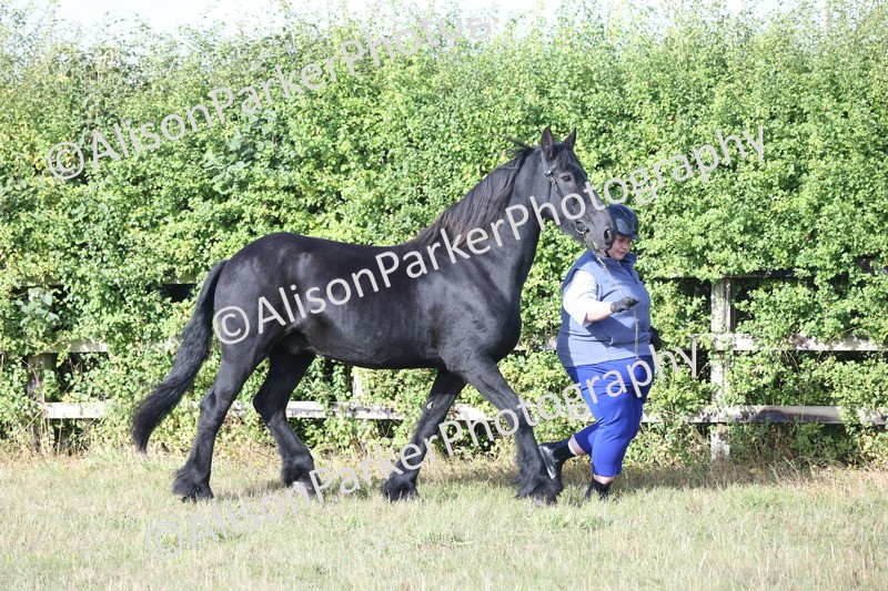 20250831-1341 - Class 21 - Inhand Open