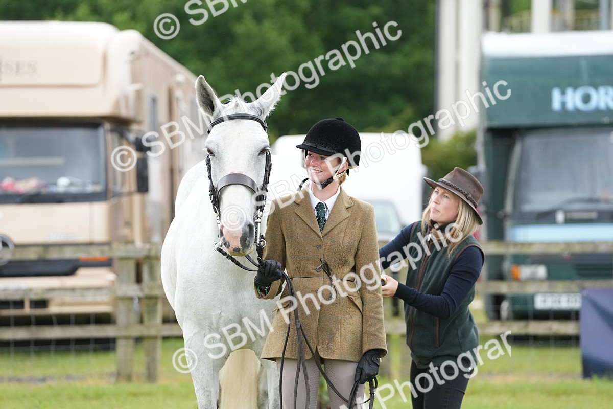 SBM_12709 - Class 97-98 - LIHS BSHA Rising Star Working Show Horse Hunter