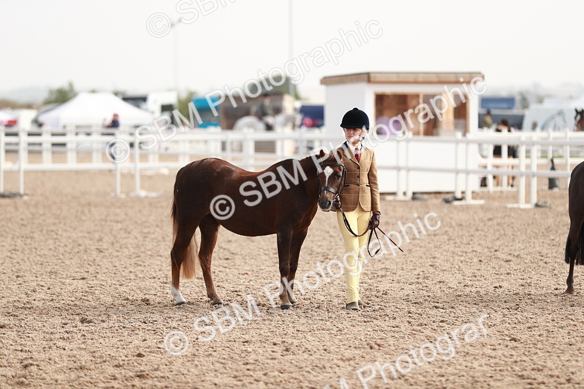 SBM_10580 - Class 204 Young Handler, 11-16 years