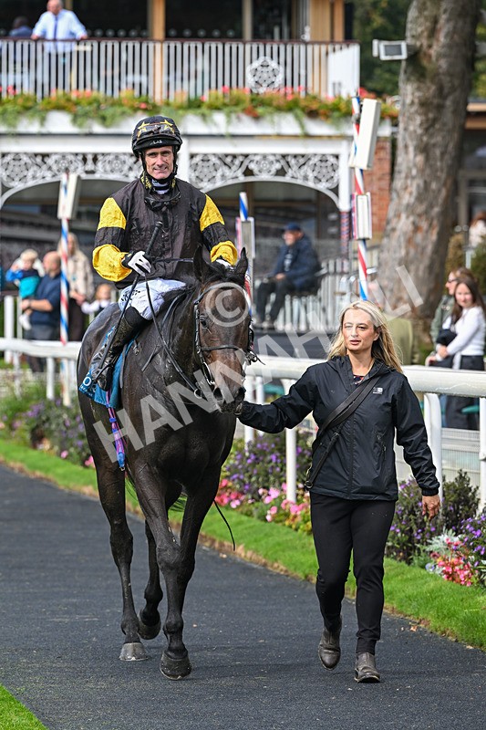 060926-Race 2-Oriental Prince-7253 - Race 2 2.05pm Fine Details Car Valeting Sprint Handicap