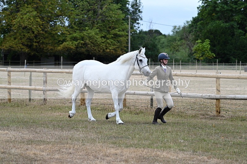 WJ7_8740 - Class 4a Prettiest Mare 14.2hh and over