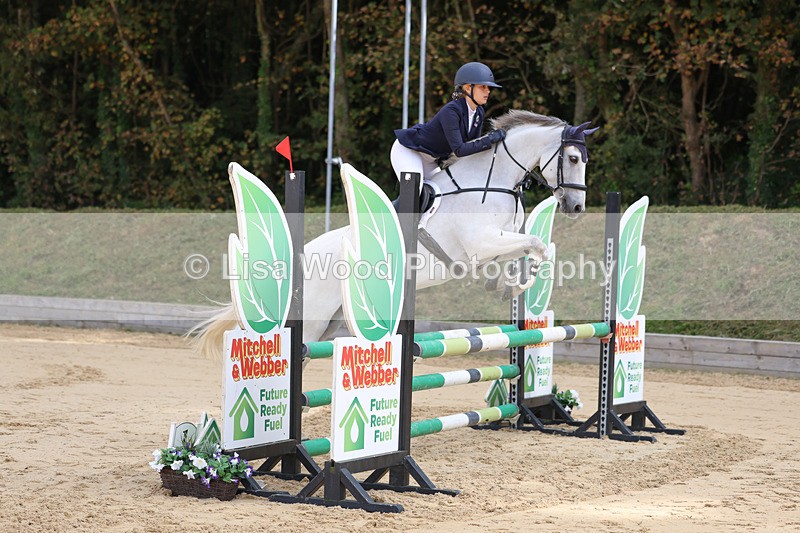 3E7A1950 - Class 4: Senior British Novice/90cm open