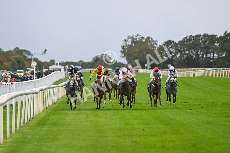 150925-Race 2-Rum Therapy-2346 - Race 2