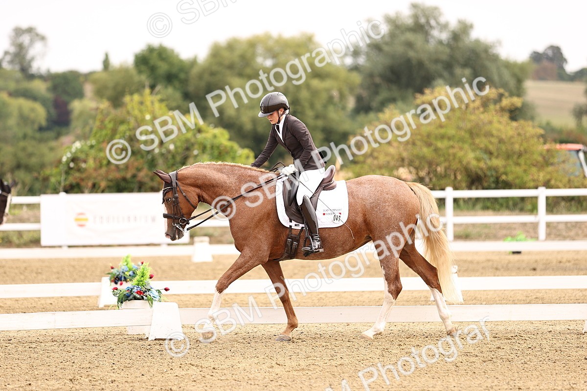 SBM_011542 - Class 1 - Medium 5