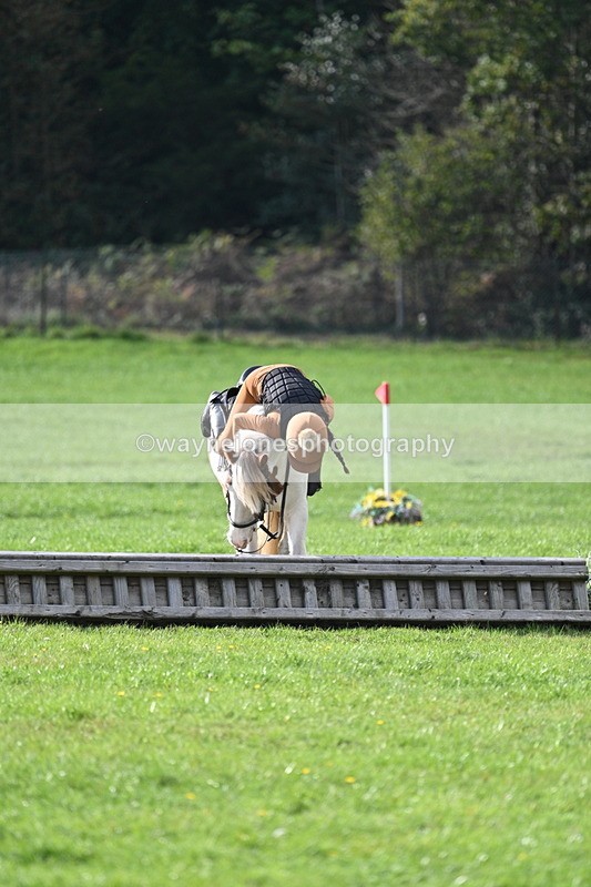 WJ7_3966 - 40cm Time 10:26 to 10:42