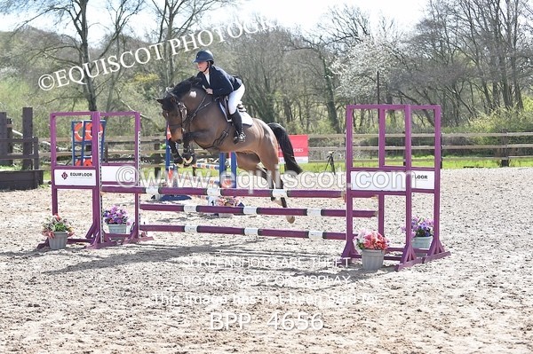 BPP_4656 - CLASS 12 BritiNovice/ 90cm Open