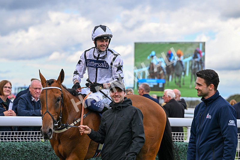 170925-Race 4-Dunkeld Dreamer-4962 - Race 4