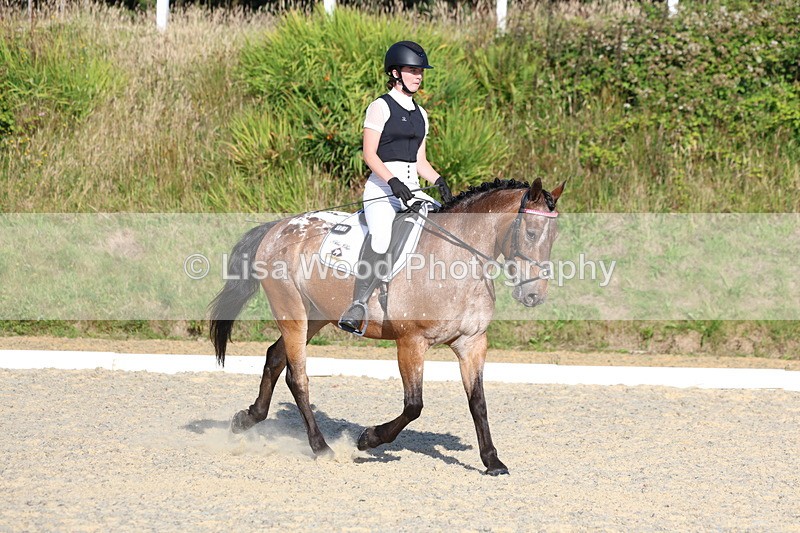 3E7A3639 - Class 2: Intro 1 2024 Section B