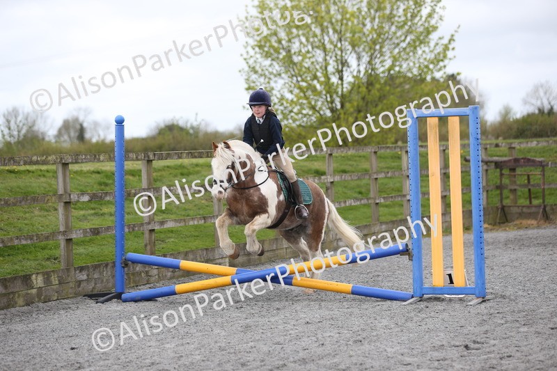 20260412-0156 - Show Jumping