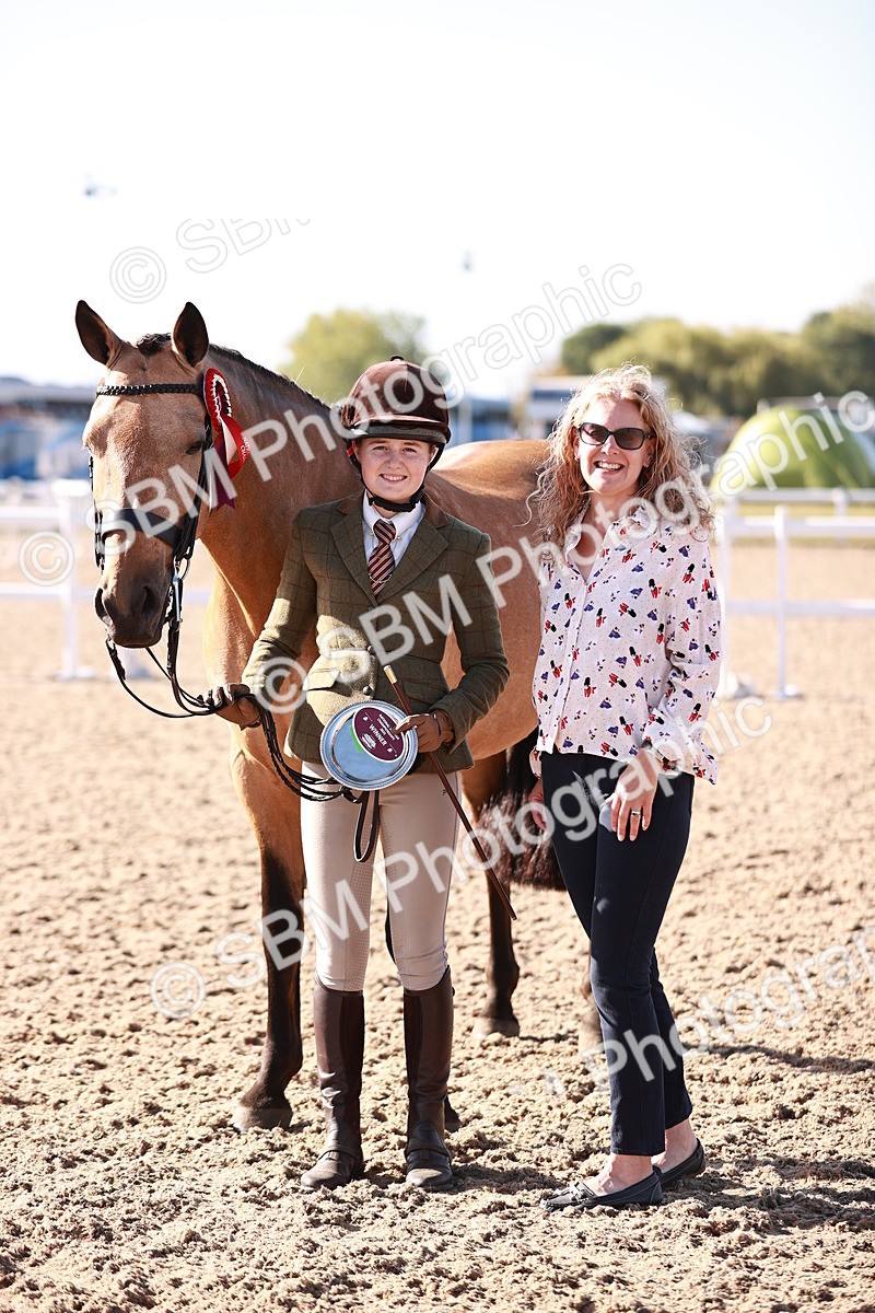 SBM_22094 - Class 703 - IH Coloured