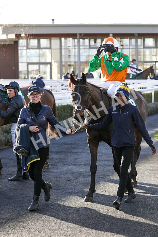 120224-Race 3-Tap N Go Leo-7525 - Race 3