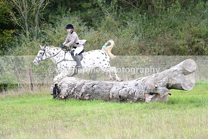 WJ7_3910 - Camera 1 Line 1