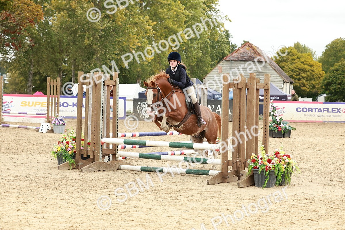 SBM_67162 - J13 - Junior Pony 60cm Championship
