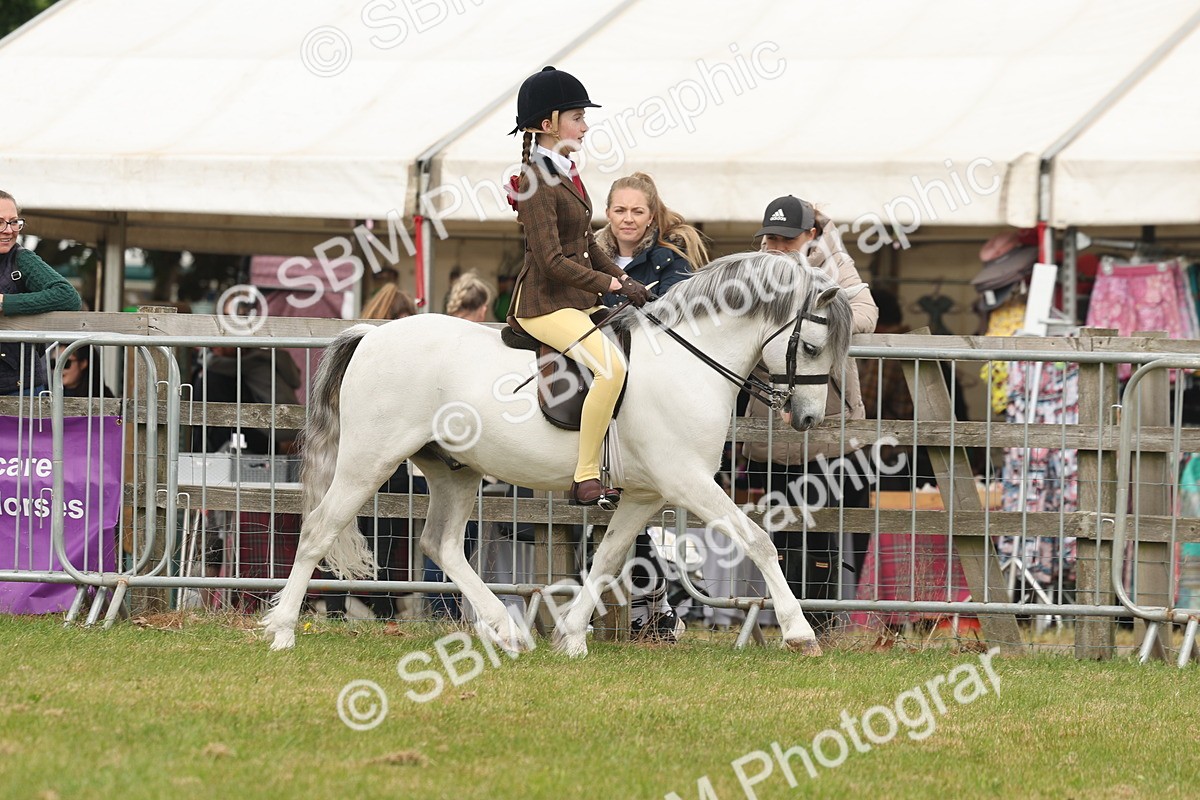 SBM_07087 - Class 76-77 - Ridden M&M Welsh Ponies