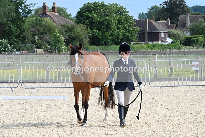 WJ7_8227 - Time 16:10 to 16:25