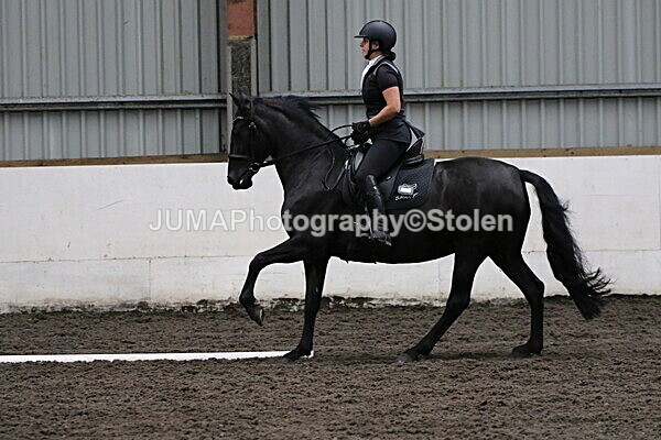 SIAL3979 - CAbin Dressage 5th july 2025