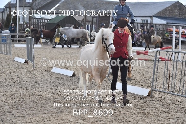 BPP_8699 - RING 2 - M&M