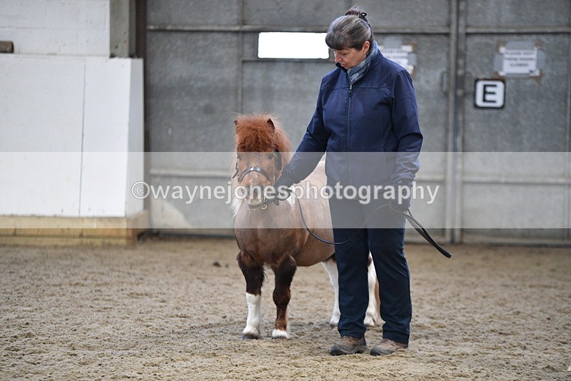 WJ5_5129 - Class 7 In hand coloured / odd coloured