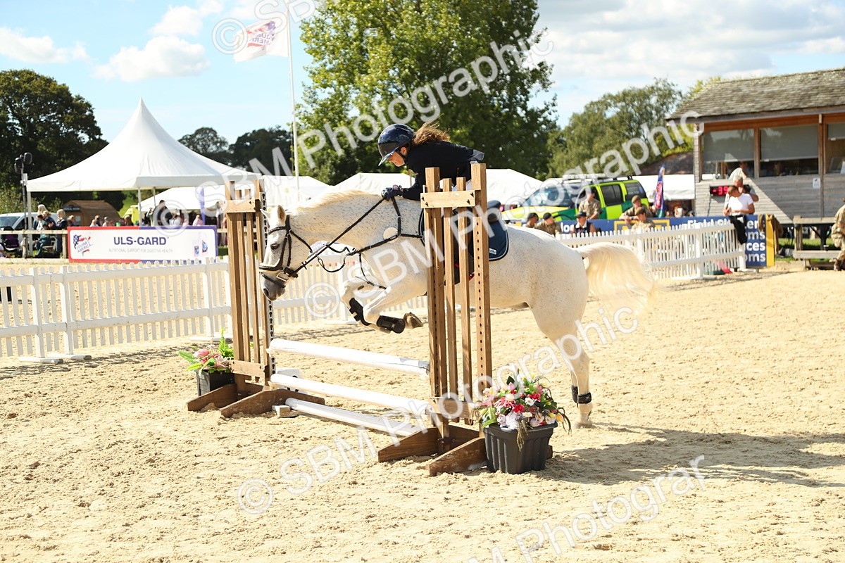 SBM_39475 - J6 - Junior Pony 55cm Championships