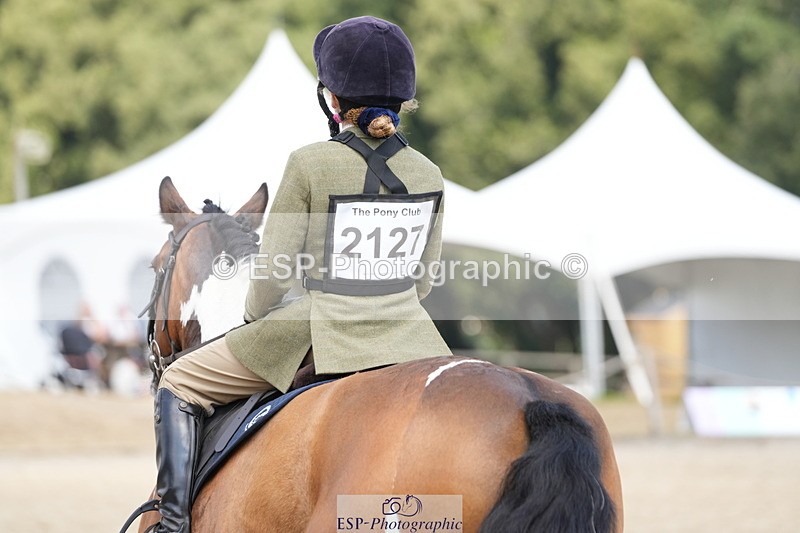 250824A-134352-37647 - 2127-Nancy.Kingman-MIDNIGHT.VIOLET