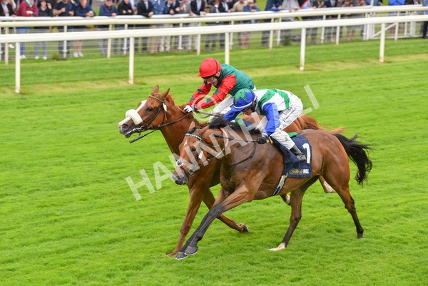 140723-Race 1-Northern Express-8096 - Race 1 2.05pm William Hill Epic Value Handicap