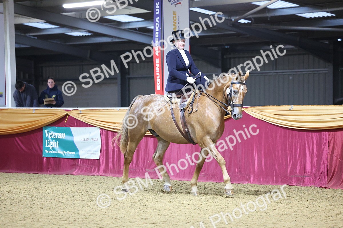 0B8A4240 - Class L Side Saddle Champ