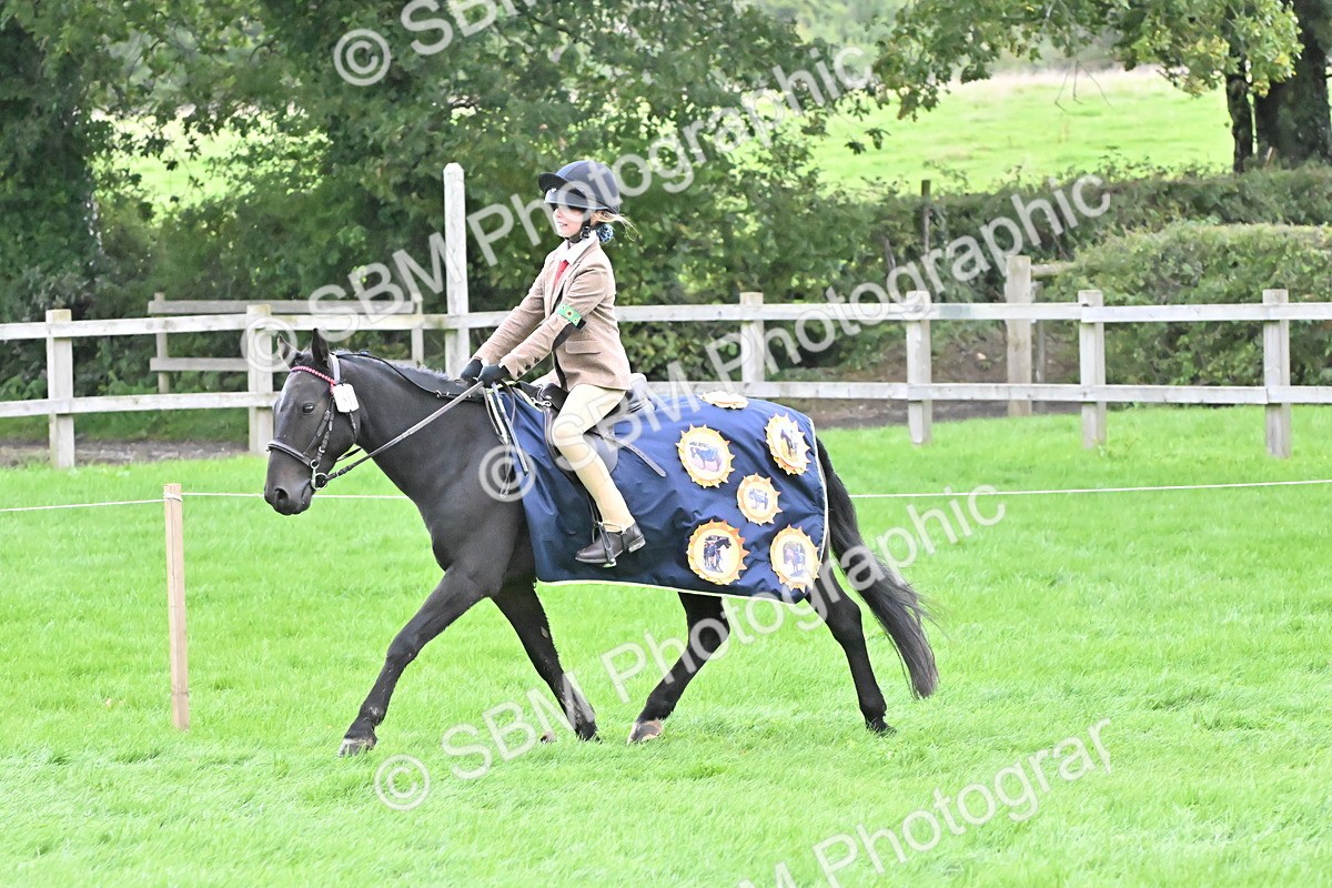 SBM_42896 - S12 - Family Horse & Pony