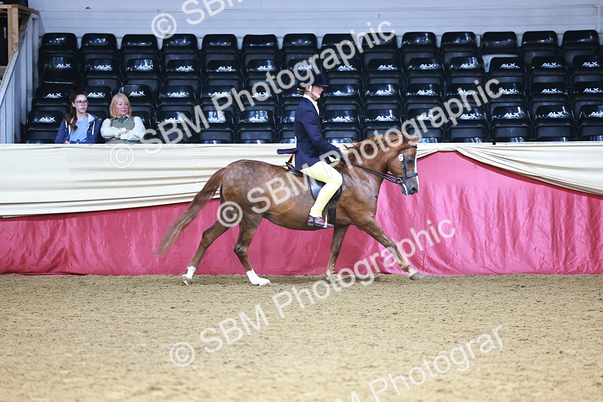 SBM_23328 - Class 904 - Supreme Final - Ridden Diamond