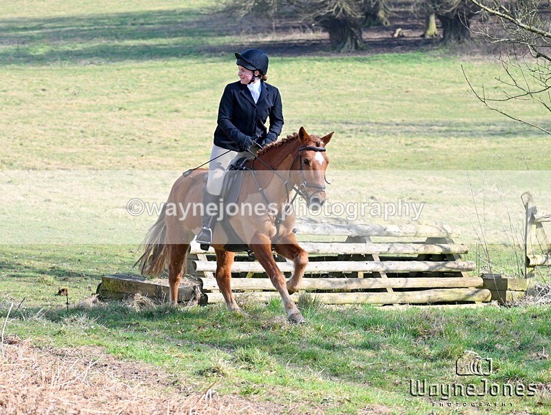 WJ7_5311 - Edited examples