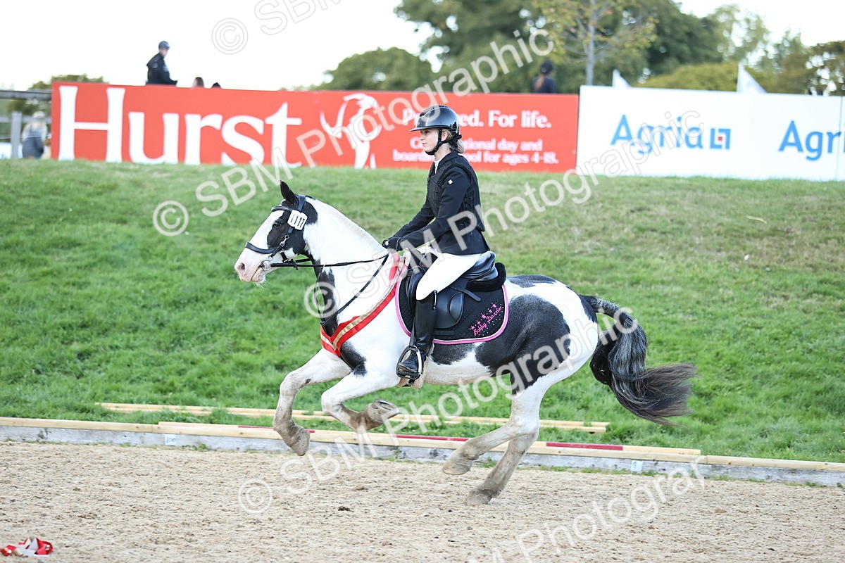 SBM_54461 - Supreme Championship 70cm 75cm