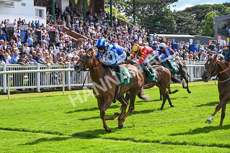 310526-Race 2-Dazzling Haze-8414 - Race 2 16.15pm Flutter Proud To Support Young Lives Vs Cancer Handicap