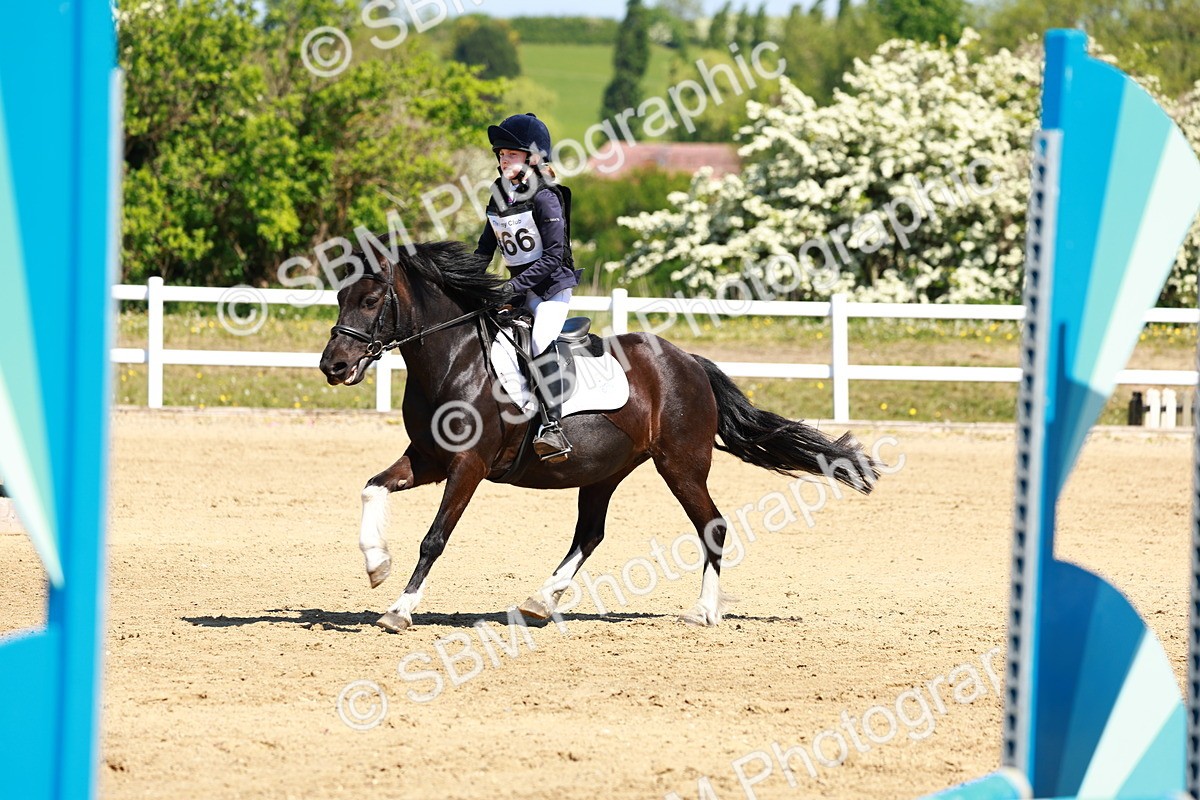 SBM_007468 - Class 3 - 60cm