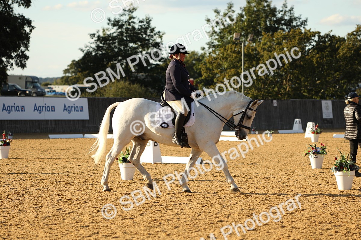 SBM_30439 - D20 - Grand Tour Championship - Elementary 44