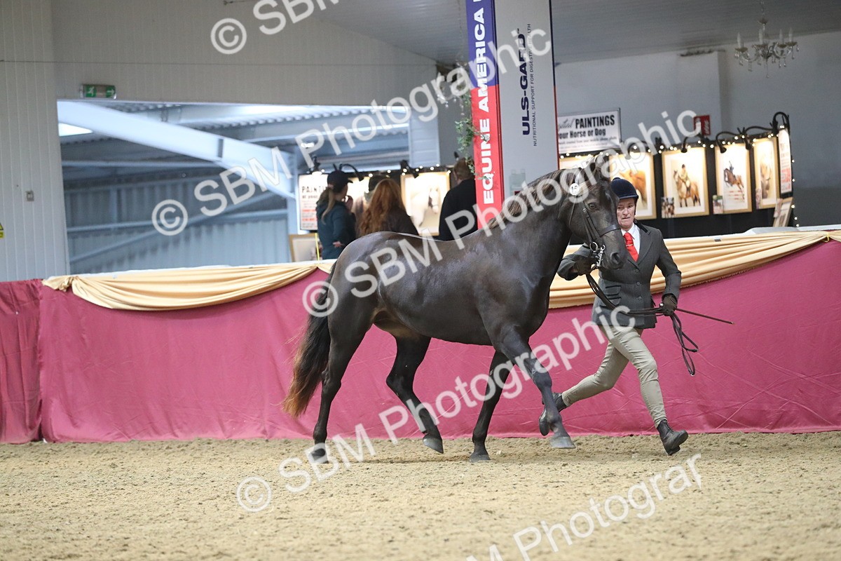 SBM_15153 - Class 501 M&M IH Supreme Final