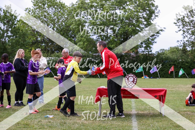 1DX31563 - Brook Field V Goddard Park