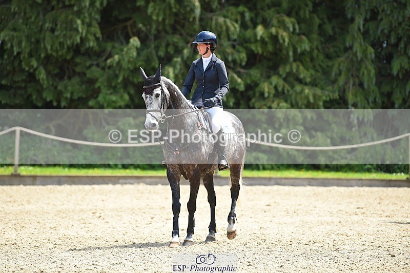 230528-121742-15627 - 311-BALLYCOSKERRY_REGAL_DIAMOND-Hollie_Swain-SUNTrotUp+SJ